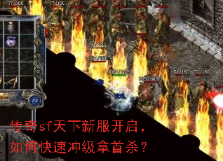 ����sf�����·���������ο��ٳ弶����ɱ��