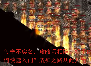 ���治ʵ�������������棺������ο������ţ�����֮·�Ӵ˿�ʼ