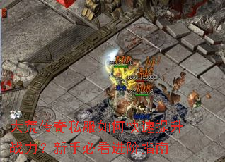 ��Ĵ���˽����ο�������ս�������ֱؿ�����ָ��