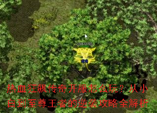 ��Ѫ��쭴��濪����ô�棿��С�׵��������ߵ���Ϯ����ȫ����