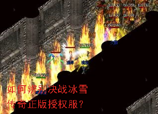 ��α���ս��ѩ����������Ȩ����