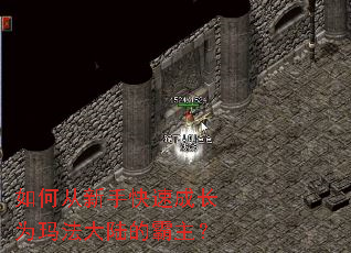 ��δ����ֿ��ٳɳ�Ϊ�귨��½�İ�����