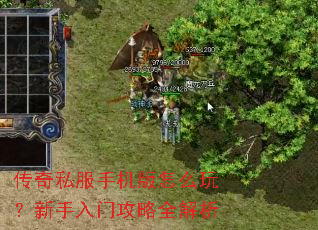 ����˽���ֻ�����ô�棿�������Ź���ȫ����
