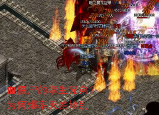 Ѫ��ʬ�������ֵܣ�Ϊ�α������ر�