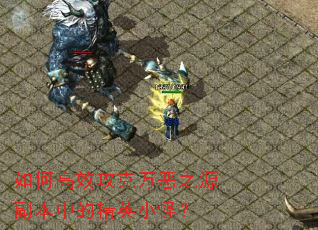 ��θ�Ч�������֮Դ�����еľ�ӢС�֣�