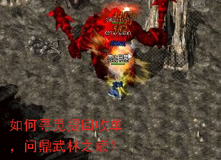 如何寻觅提回收单,问鼎武林之巅? 如何寻觅提回收单,问鼎武林之巅?