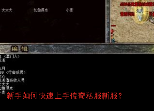 新手如何快速上手传奇私服新服? 新手如何快速上手传奇私服新服?