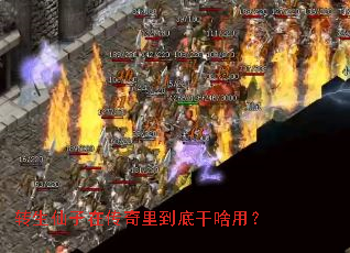 转生仙子在传奇里到底干啥用? 转生仙子在传奇里到底干啥用?