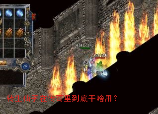 转生仙子在传奇里到底干啥用? 转生仙子在传奇里到底干啥用?