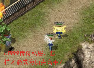 sf999����˽�����������ܳ�Ϊ������֣�