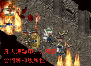 凡人涅槃甲,究竟蕴含何种神级属性? 凡人涅槃甲,究竟蕴含何种神级属性?