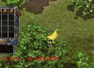 սʿ���ˣ���������ν⣿