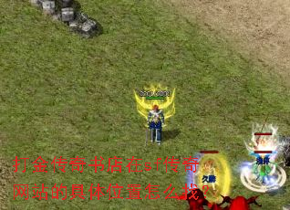 ����������sf������վ�ľ���λ����ô�ң�