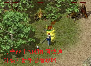 传奇战士初期如何快速升级?新手必看攻略 传奇战士初期如何快速升级?新手必看攻略