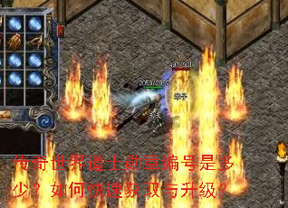 传奇世界道士勋章编号是多少?如何快速获取与升级? 传奇世界道士勋章编号是多少?如何快速获取与升级?