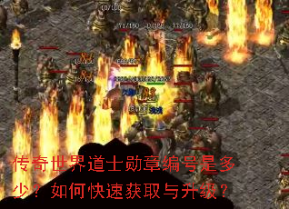 传奇世界道士勋章编号是多少?如何快速获取与升级? 传奇世界道士勋章编号是多少?如何快速获取与升级?