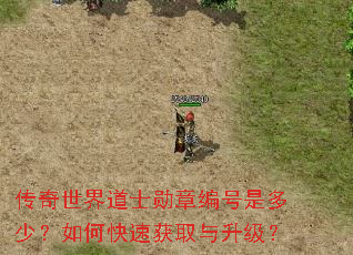 传奇世界道士勋章编号是多少?如何快速获取与升级? 传奇世界道士勋章编号是多少?如何快速获取与升级?