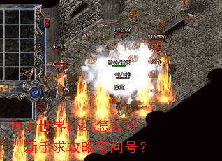 ��������boss��ô���������Դ��ʺţ�
