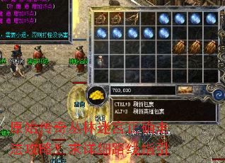 原始传奇丛林迷宫正确走法攻略?求详细路线指引 原始传奇丛林迷宫正确走法攻略?求详细路线指引