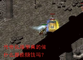����˽���������ʲô����׬Ǯ��
