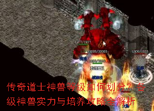 �����ʿ���޵ȼ���λ��֣���������ʵ������������ȫ����