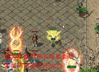 盛大热血传奇私服最新版本如何快速提升战力? 盛大热血传奇私服最新版本如何快速提升战力?