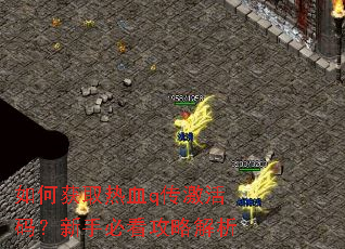 如何获取热血q传激活码?新手必看攻略解析 如何获取热血q传激活码?新手必看攻略解析