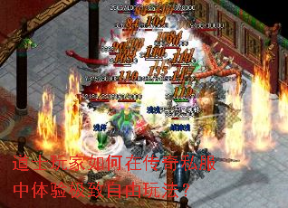 ��ʿ�������ڴ���˽�������鼫�������淨��