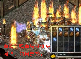 血饮与嗜血魔杖谁更强悍,如何选择? 血饮与嗜血魔杖谁更强悍,如何选择?