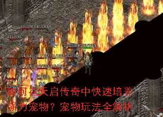 ��������������п�������ǿ����������淨ȫ����