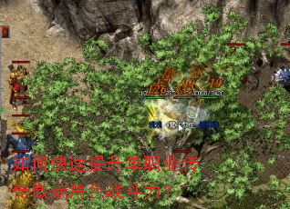 ��ο���������ְҵ����΢�˽�ɫս������