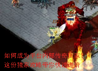 ��γ�Ϊƽ̨�ڲ�������ң���ݶ��ҹ��Դ�����ٽ���