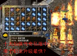 ʮ����������˽�����ĸ�ְҵ������죿