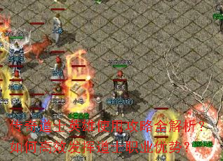 �����ʿӢ��ʹ�ù���ȫ��������θ�Ч���ӵ�ʿְҵ���ƣ�