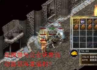 ��β��빫�����޻Ӯȡ����������