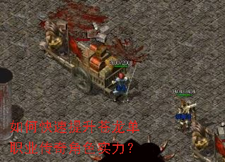 如何快速提升苍龙单职业传奇角色实力? 如何快速提升苍龙单职业传奇角色实力?