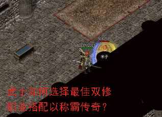 ��ʿ���ѡ�����˫��ְҵ�����ԳưԴ��棿