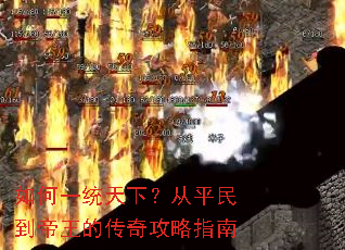 如何一统天下?从平民到帝王的传奇攻略指南 如何一统天下?从平民到帝王的传奇攻略指南