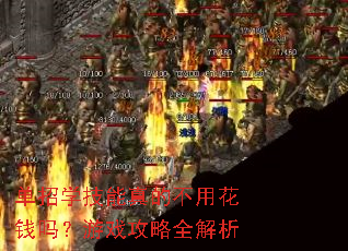 ����ѧ������Ĳ��û�Ǯ����Ϸ����ȫ����