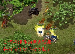 ��δ�ҵ�����˽�������촫����Ϸ���飿