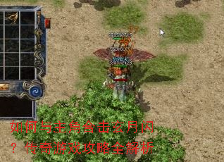 如何与主角合击玄月闪?传奇游戏攻略全解析 如何与主角合击玄月闪?传奇游戏攻略全解析