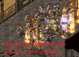 ���浥ְҵ��������ο�������ս�������ֱؿ�����