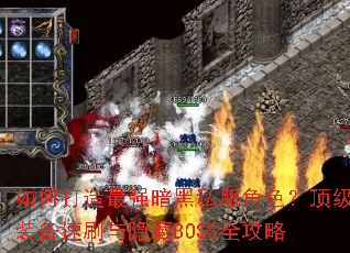 ��δ�����ǿ����˽����ɫ������װ����ˢ������BOSSȫ����