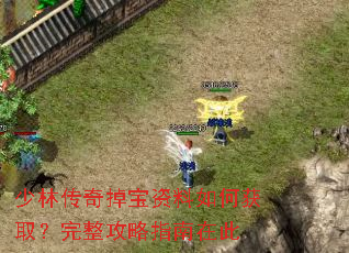 ���ִ������������λ�ȡ����������ָ���ڴ�