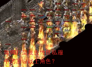 ��δ��츴�Ŵ���˽���еĶ���սʿ��ɫ��