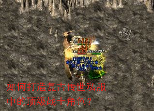 ��δ��츴�Ŵ���˽���еĶ���սʿ��ɫ��