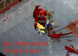 ��ɫ���������λ�ȡ��ʹ��ȫ���ԣ�