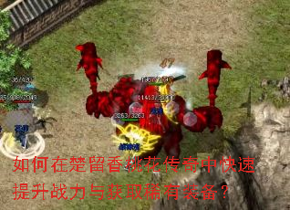 如何在楚留香桃花传奇中快速提升战力与获取稀有装备? 如何在楚留香桃花传奇中快速提升战力与获取稀有装备?