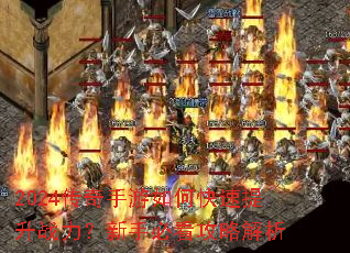 2024����������ο�������ս�������ֱؿ����Խ���