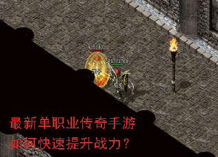 ���µ�ְҵ����������ο�������ս����